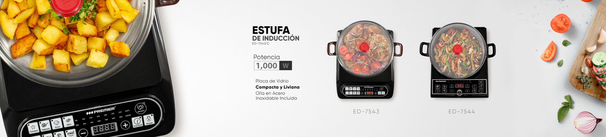 ESTUFAS INDUCCION